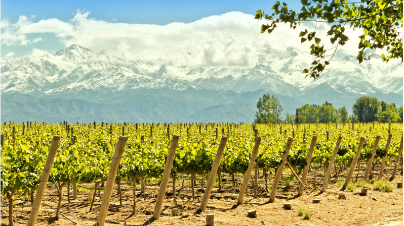 Reveillon nas Cordilheiras - Expedição Mendoza - Cerro Aconcágua - Vinícolas