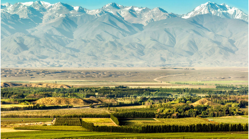 Reveillon nas Cordilheiras - Expedição Mendoza - Cerro Aconcágua - Vinícolas