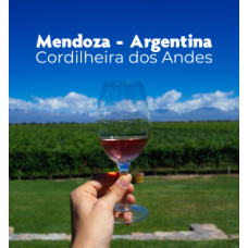 Reveillon nas Cordilheiras - Expedição Mendoza - Cerro Aconcágua - Vinícolas