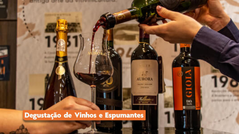 Queijos, Vinhos e Espumantes - Bento, Garibaldi e Carlos Barbosa - Fenachamp.