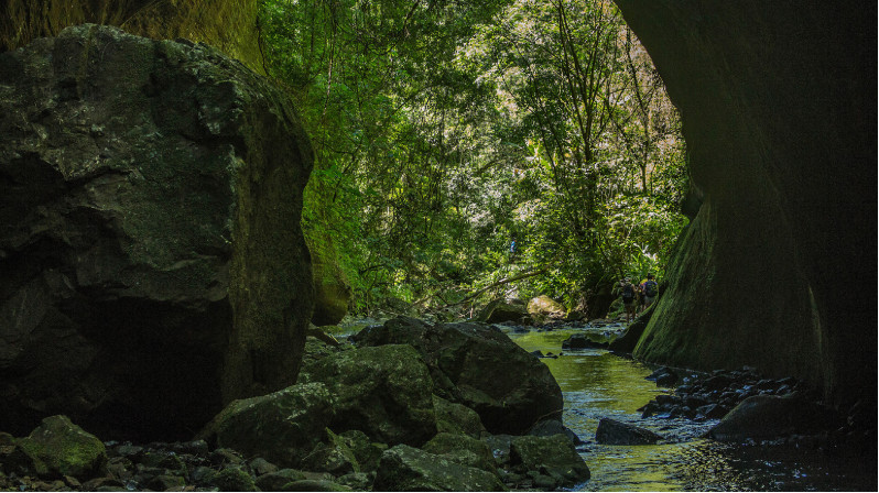 Cascata das Andorinhas e Chuvisqueiro - Riozinho e Rolante - RS