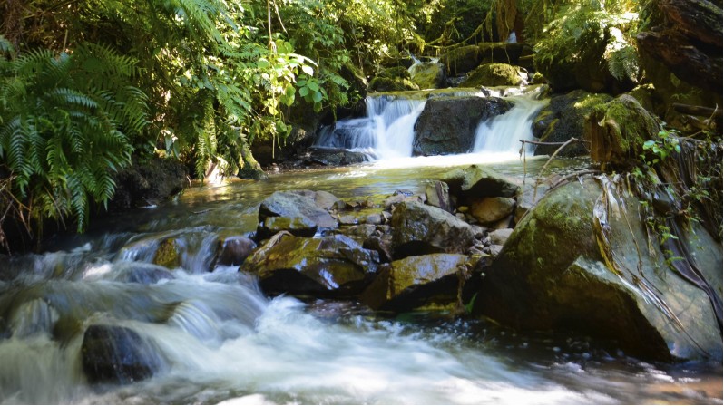Encante-se no Parque das 8 Cachoeiras e Lago São Bernardo - São Chico - RS