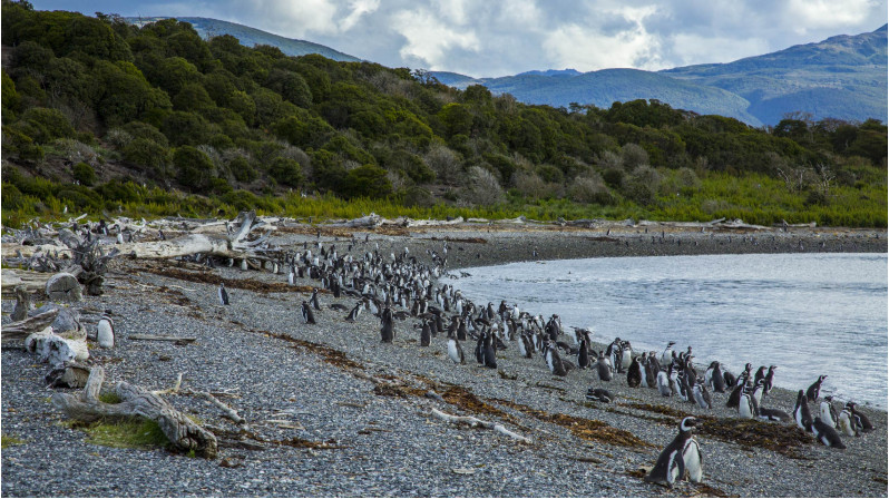 Expedição Fim do Mundo - Ushuaia - El Calafate - El Chalten - Bariloche - Argentina